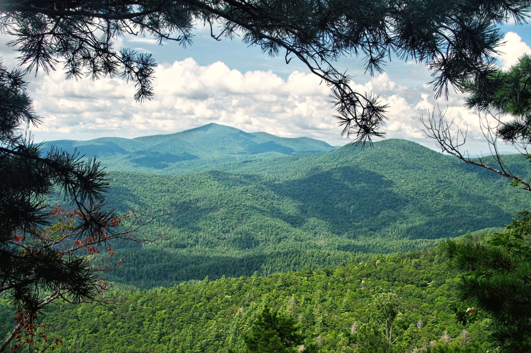 Discovering the Allure of Vacation Cabins in the North Carolina Mountains